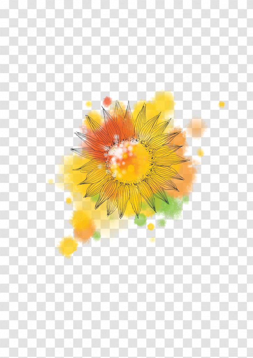 Common Sunflower Sunflowers - Flora Transparent PNG