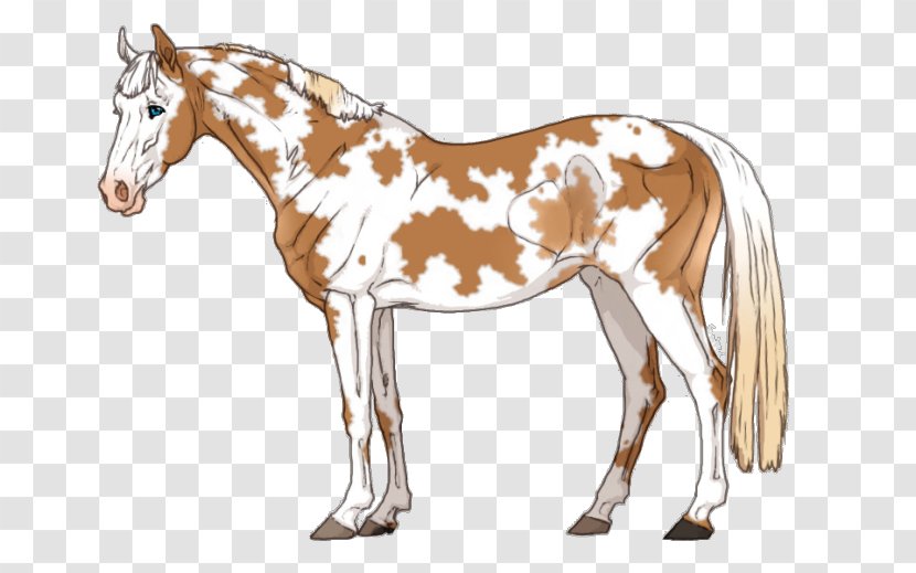 Mule Foal Mare Mane Stallion - Horse - Mustang Transparent PNG