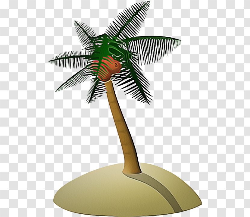 Coconut Tree Cartoon - Leaf Woody Plant Transparent PNG