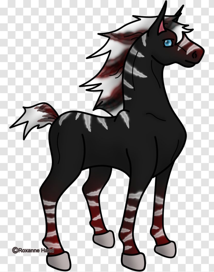 Mule Foal Stallion Mustang Colt - Donkey Transparent PNG