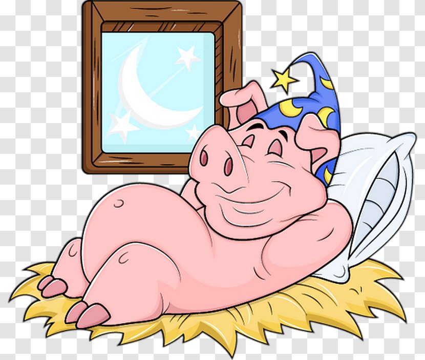 Clip Art Pig Illustration Mammal Vector Graphics - Frame Transparent PNG