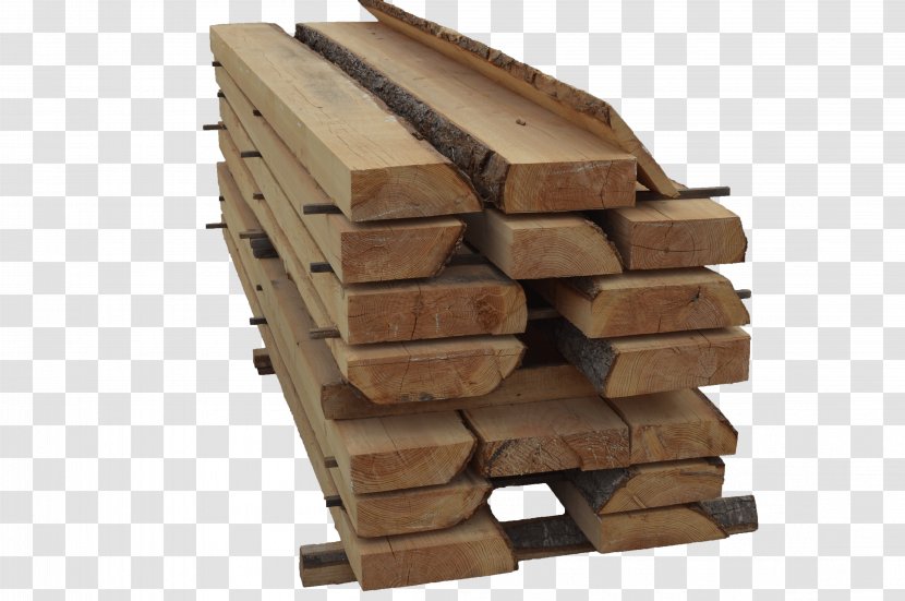 Lumber Wood Trunk Jordi Giribets, Fusta Bark - Hardwood Transparent PNG