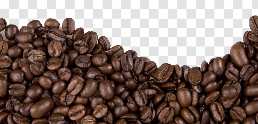 Coffee Bean Cafe Cocoa - Food - Beans Transparent PNG