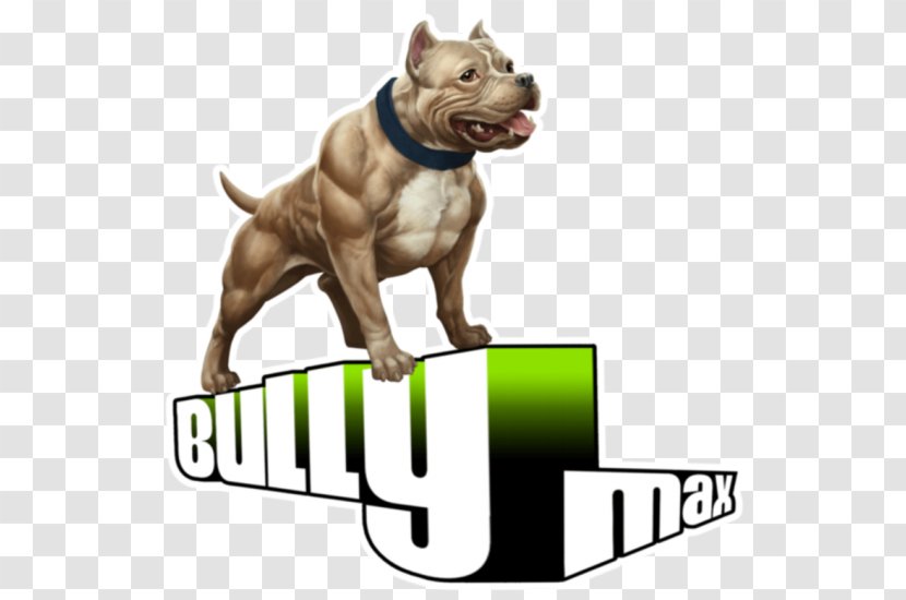 American Bully Pit Bull Terrier Dietary Supplement Veterinarian - Dog - Leash Transparent PNG