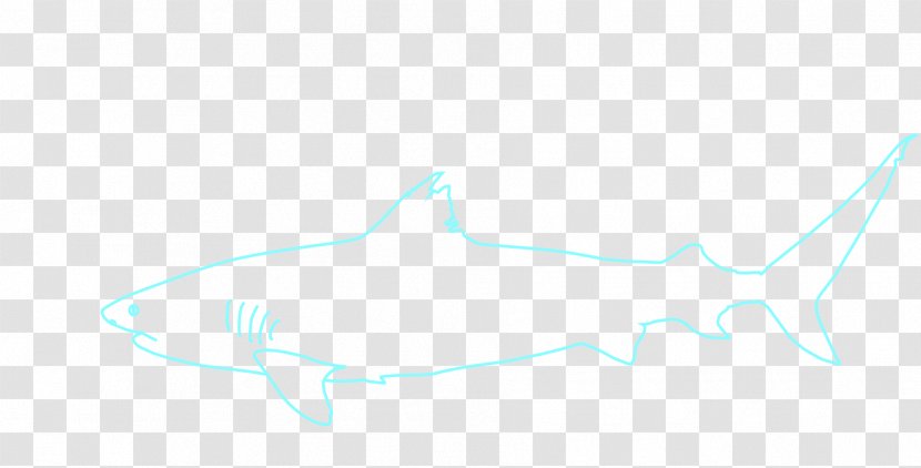 Requiem Sharks Porpoise Marine Biology Whales - Shark Drawing Clip Art Transparent PNG
