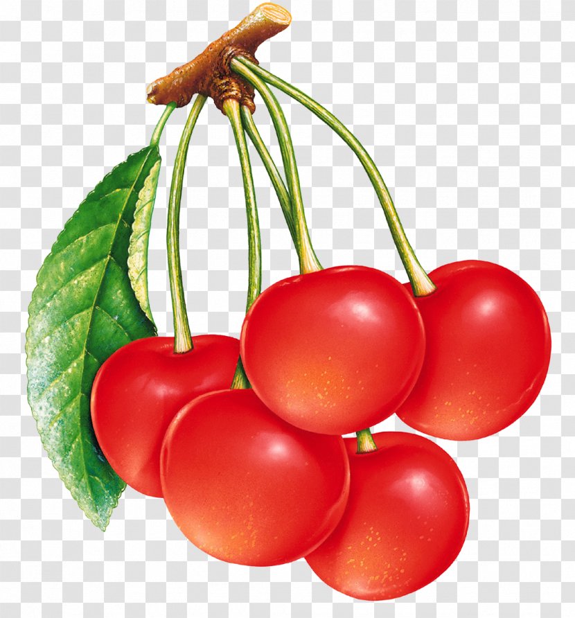 Strawberry Fruit Drawing Cherry - Tomato Transparent PNG