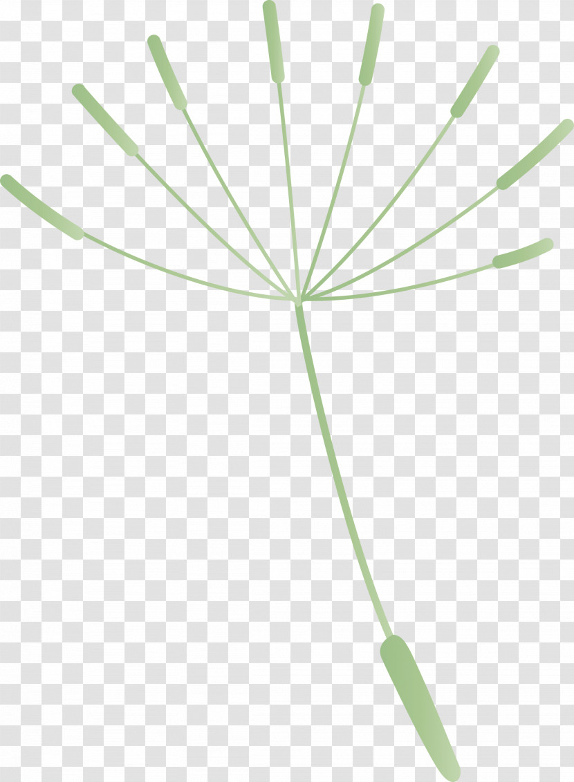 Dandelion Transparent PNG