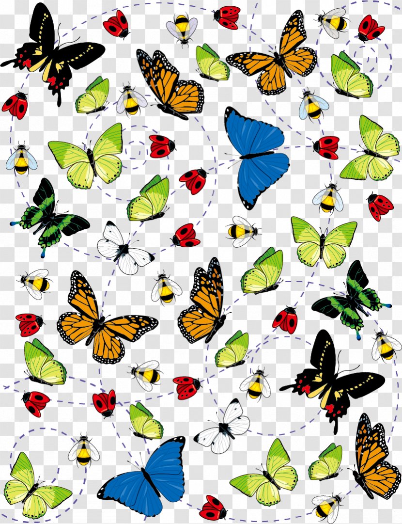 Insect Butterfly Illustration - Flower - Vector Transparent PNG