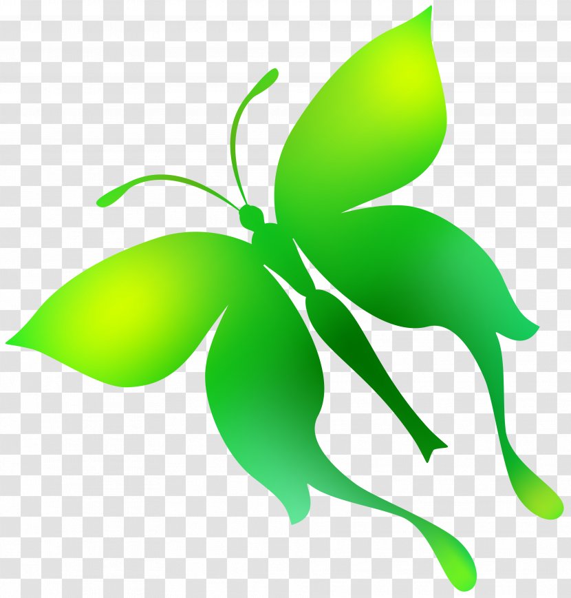 Butterfly Download Clip Art - Branch - Clover Leaf Transparent PNG