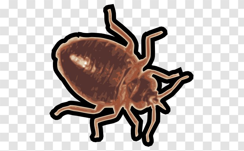 Insect Crab Bed Bug Image Scanner - Software Transparent PNG