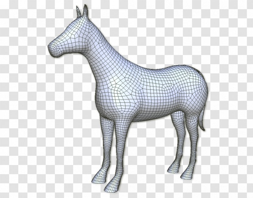 3D Computer Graphics Polygon Mesh Mule Cinema 4D - Pony - Horse Transparent PNG
