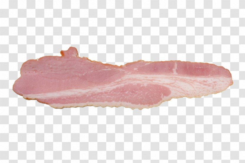 Bacon Meat - Watercolor - Vector Transparent PNG