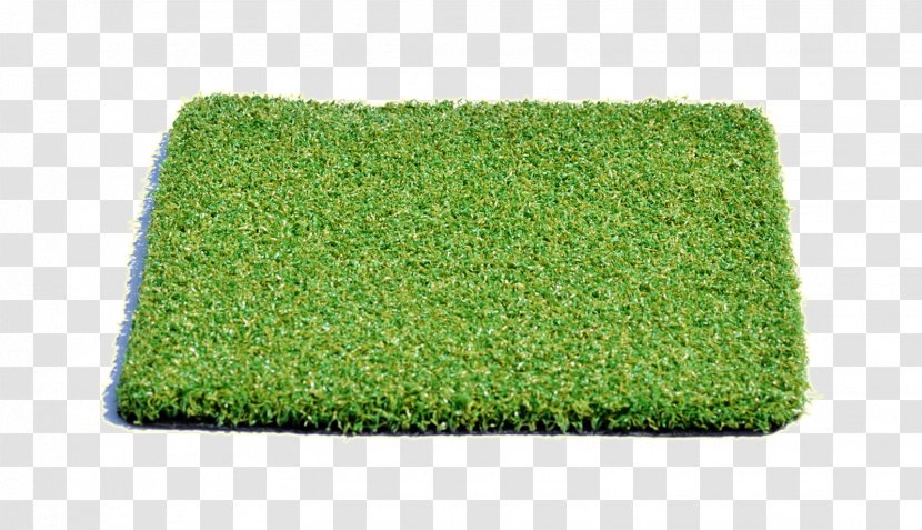 Artificial Turf Lawn Athletics Field Rectangle Sport Transparent PNG