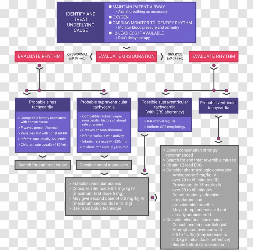 Perfusion Algorithm Pediatric Advanced Life Support Pulse Decision Tree - Basic Transparent PNG