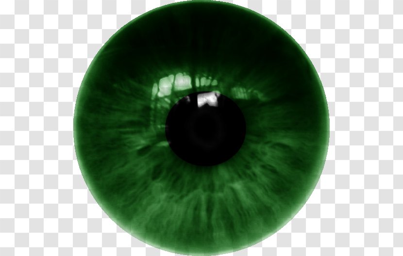 Human Eye Iris Lens - Cartoon - I Transparent PNG