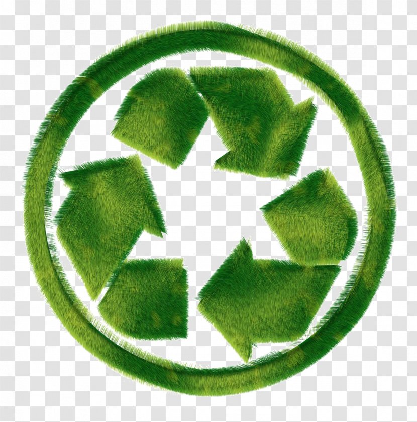 Recycling Symbol Environmentally Friendly - Greenpeace - Recycle Transparent PNG