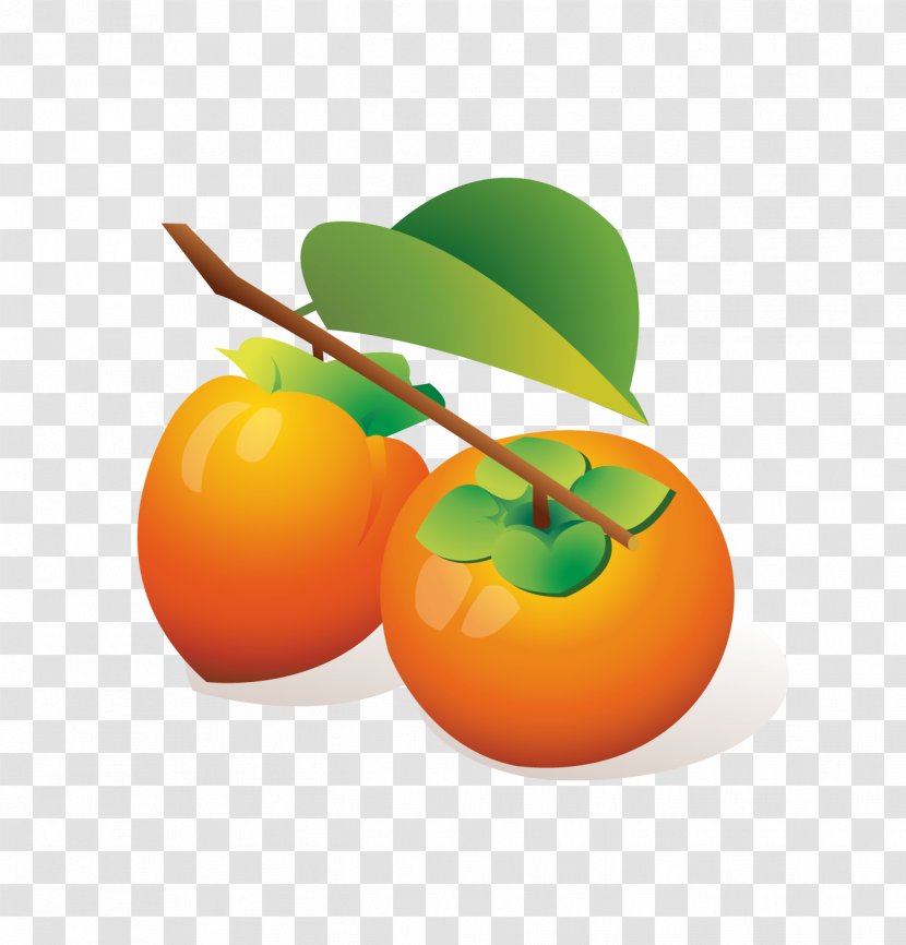 Persimmon Cartoon Orange - Tomato Transparent PNG