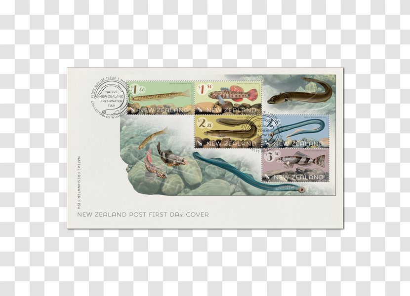 New Zealand Freshwater Fish Animal Fresh Water - Currency Transparent PNG
