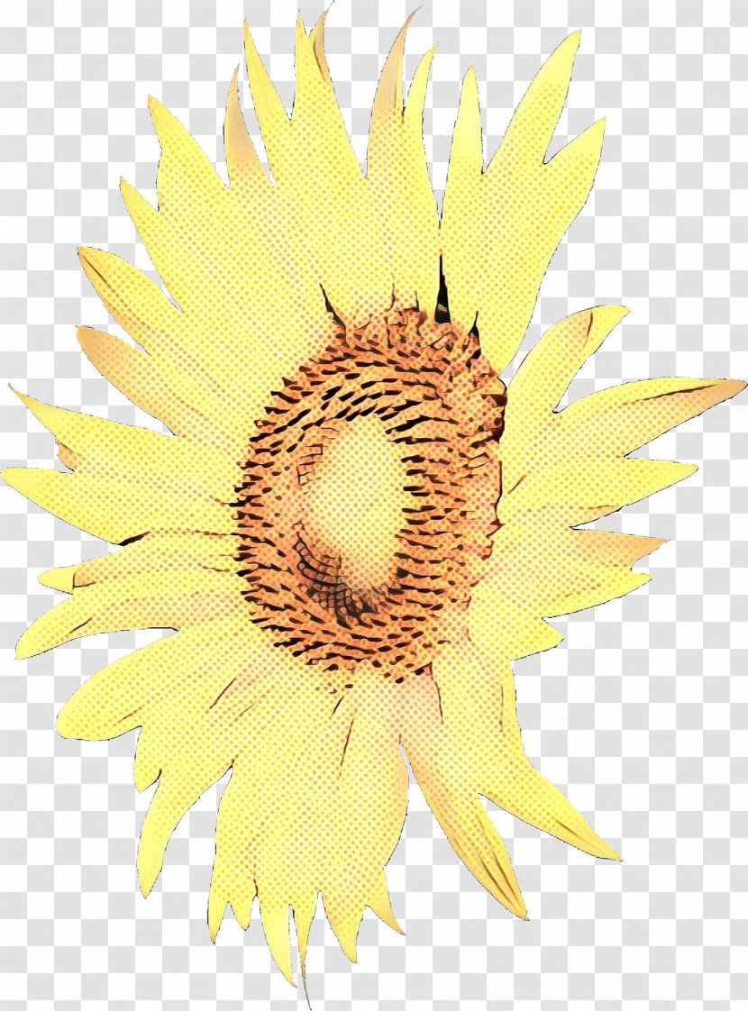 Yellow Flower - Wildflower - Asterales Transparent PNG