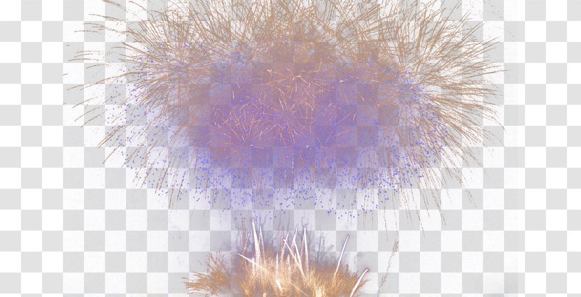 Purple Fur - Fireworks Transparent PNG