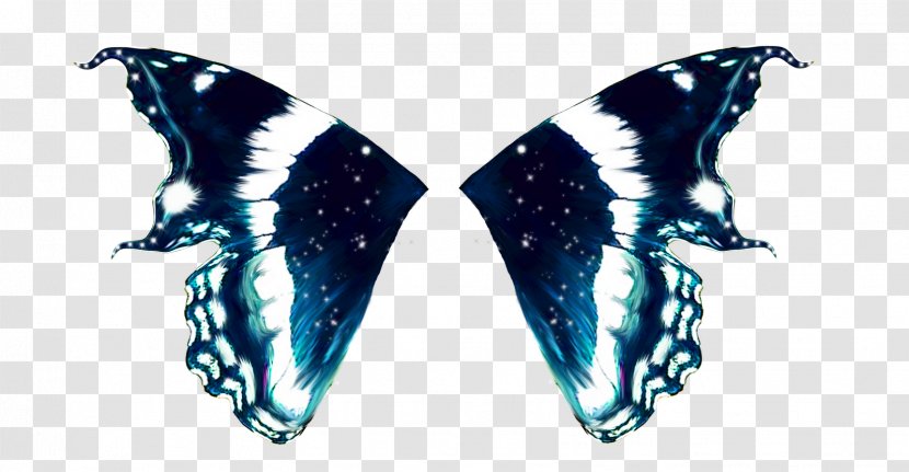 Butterfly Wing Moth Image Bird - Insect Transparent PNG