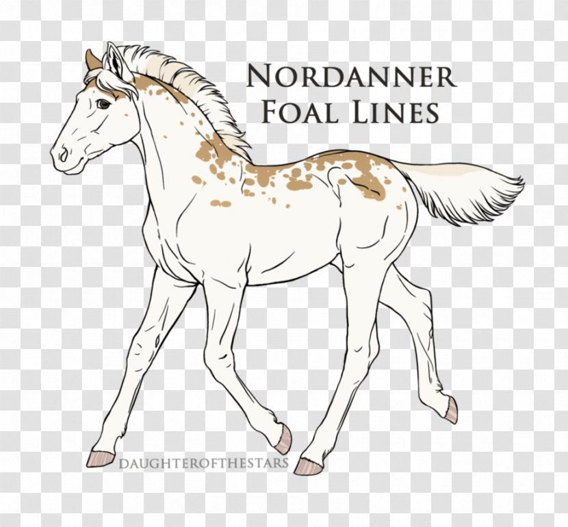 Foal Mustang Pony Stallion Line Art Transparent PNG