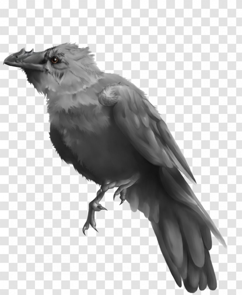 American Crow Painting Common Raven Finches Art - Biomechanics Transparent PNG