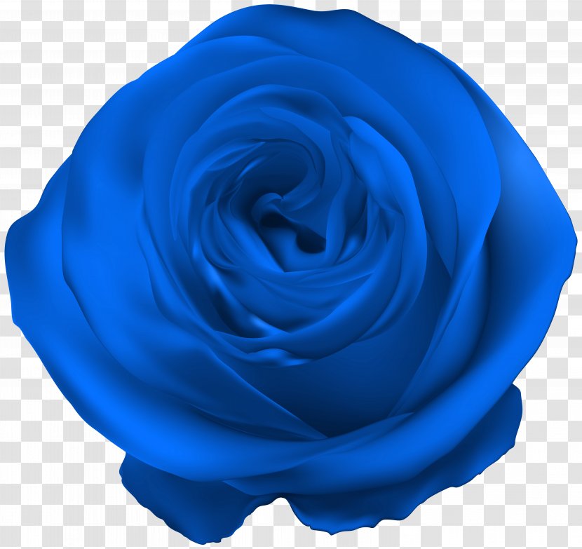 Blue Rose Royal - Azure - Clip Art Transparent PNG