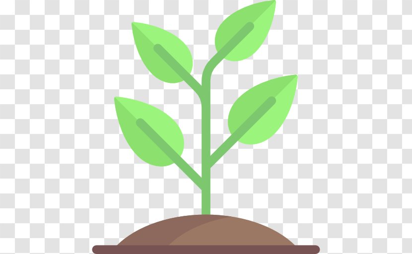 Sprouting Clip Art - Branch - Tree Transparent PNG