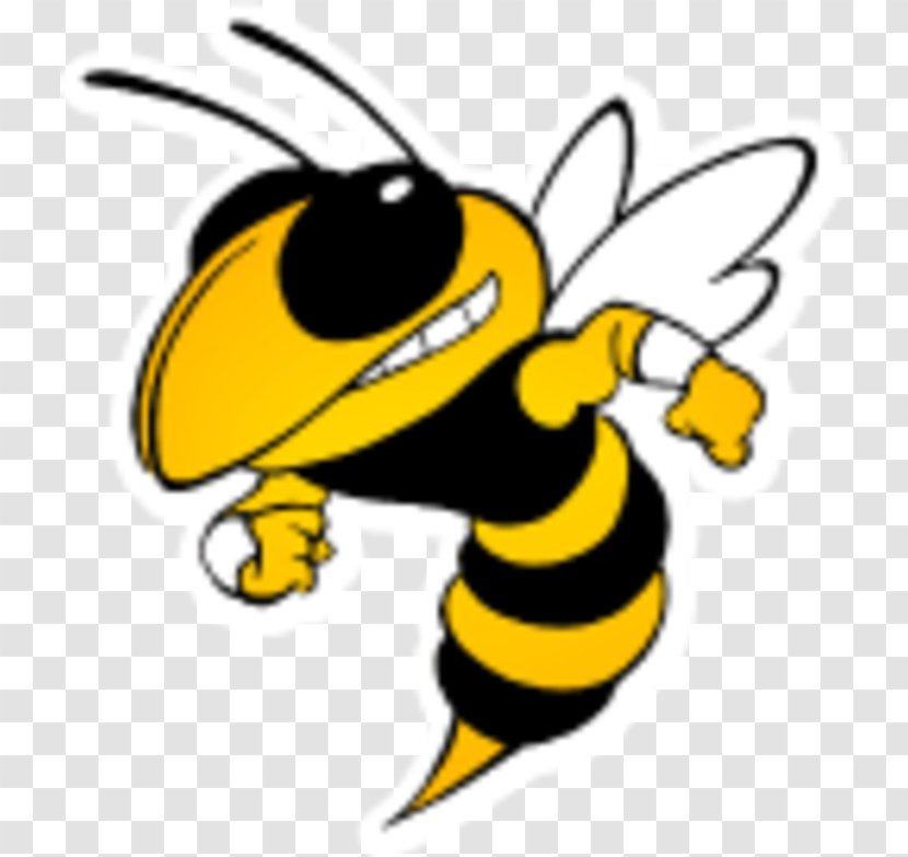 Georgia Institute Of Technology Tech Yellow Jackets Football Bee Yellowjacket Hornet - Honey Transparent PNG
