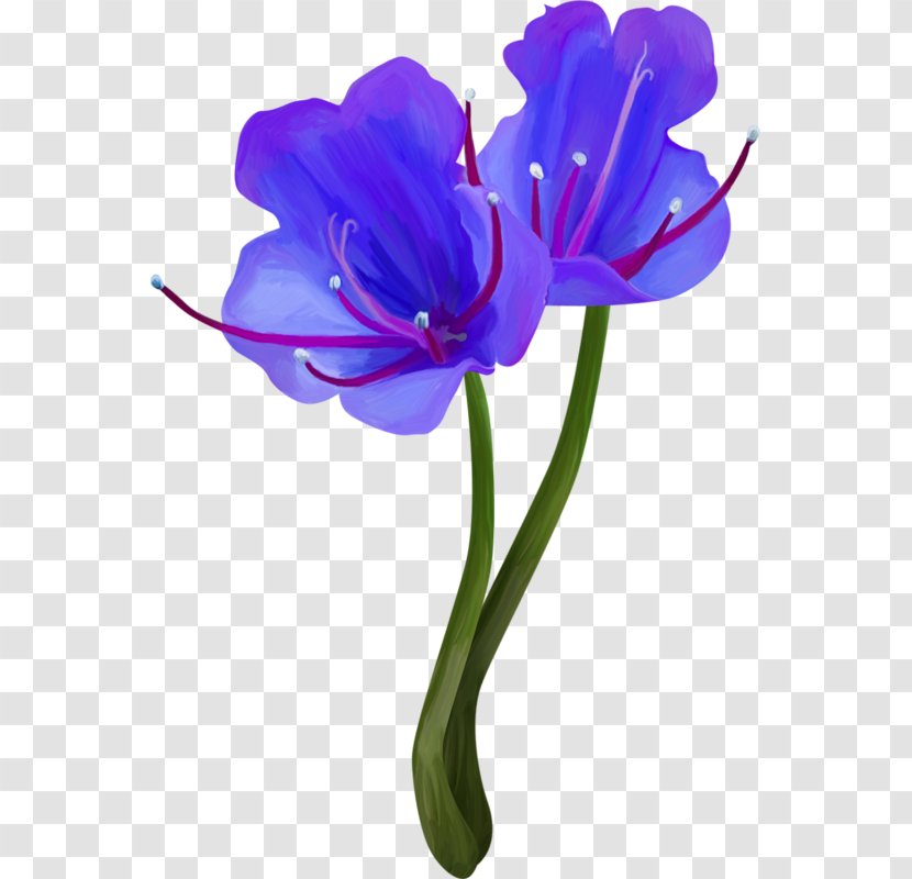 Cut Flowers Plant Stem Flower Bouquet Clip Art - Viola Transparent PNG