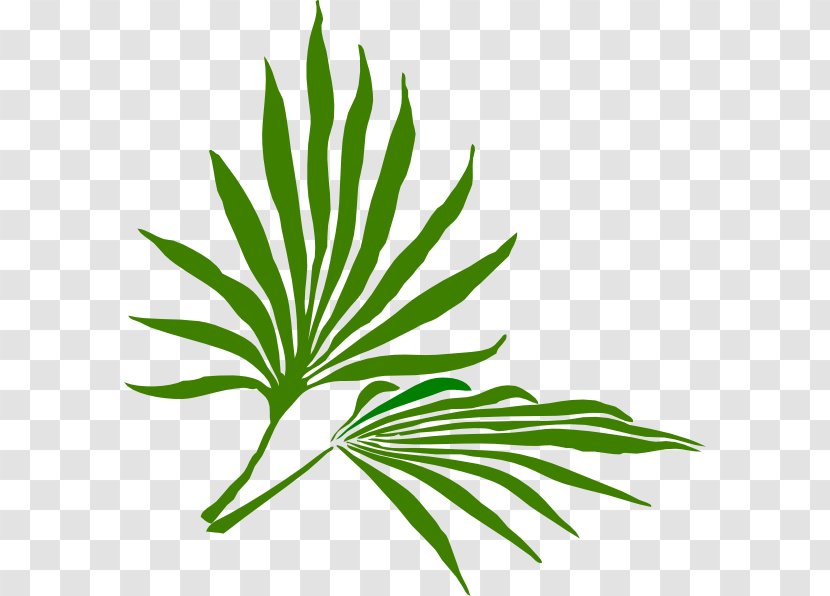 Palm Sunday Branch Easter Clip Art - Leaf Transparent PNG