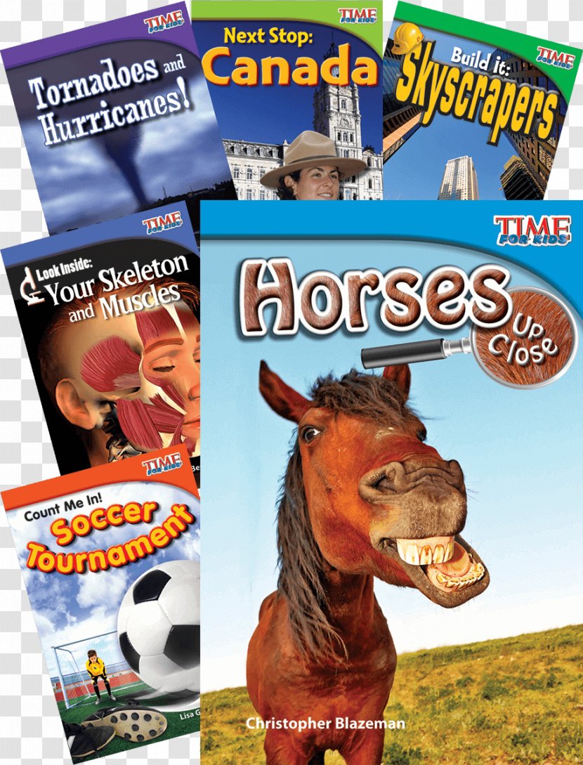 If I Ran The Horse Show Everything Horse: What Kids Really Want To Know About Horses Amazon.com Advertising - Book Cover Material Transparent PNG