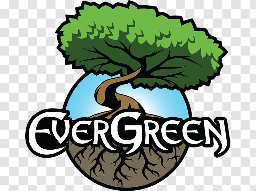Evergreen Marine Corp. Logo Graphic Design Game - Plant Transparent PNG