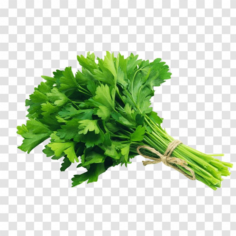 Organic Food Parsley Vegetable Herb Grocery Store Transparent PNG