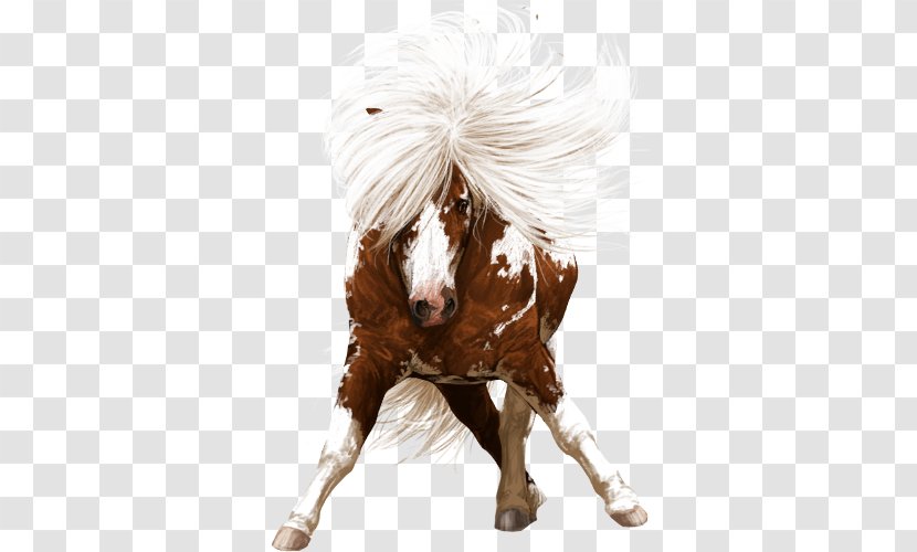Mustang Shetland Pony Dutch Warmblood Shire Horse - Stallion Transparent PNG