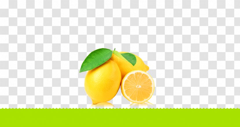 Lemon Squeezer Lime Orange Peel - Food - Fresh Background Material Transparent PNG