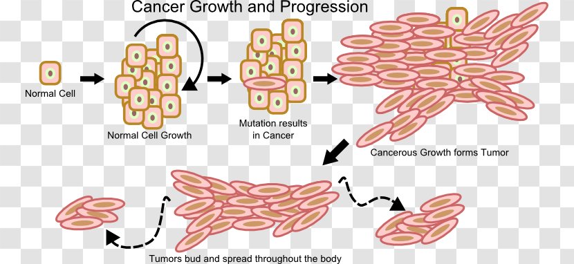 Cancer Cell Growth Neoplasm - Frame - Cartoon Transparent PNG