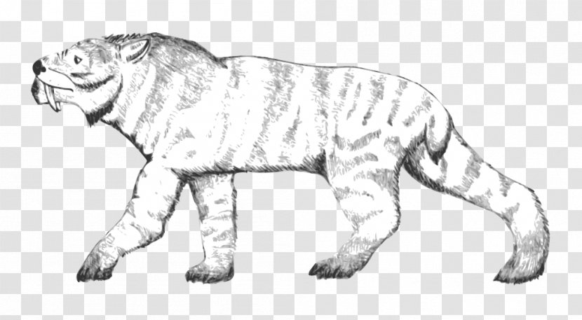 Lion Wildcat Ennedi Plateau Felidae Tiger - Wild Cat - Creative Transparent PNG