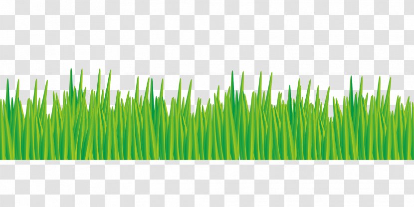 Meadow Lawn Green Pasture - Grass Border Transparent PNG