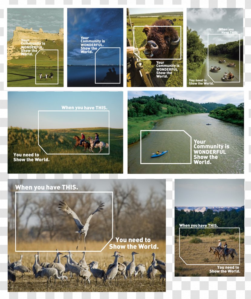 Ecoregion Landscape Fauna National Park Advertising - Ecosystem Transparent PNG