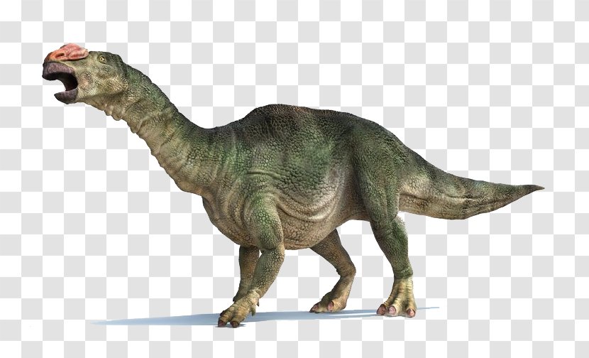 Tyrannosaurus Muttaburrasaurus Late Cretaceous Leaellynasaura Parasaurolophus - Extinction - Dinosaur Transparent PNG