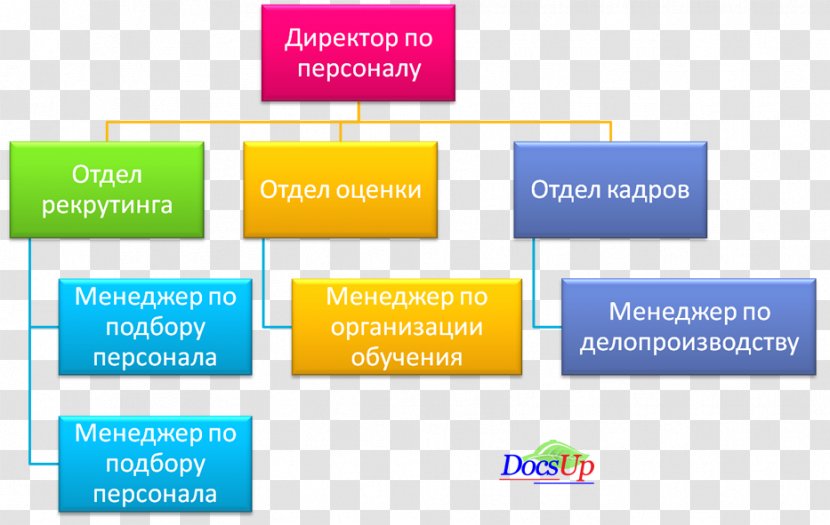 Organization Human Resource Management Персонал Кадрове забезпечення - Banner - Business Solution Transparent PNG