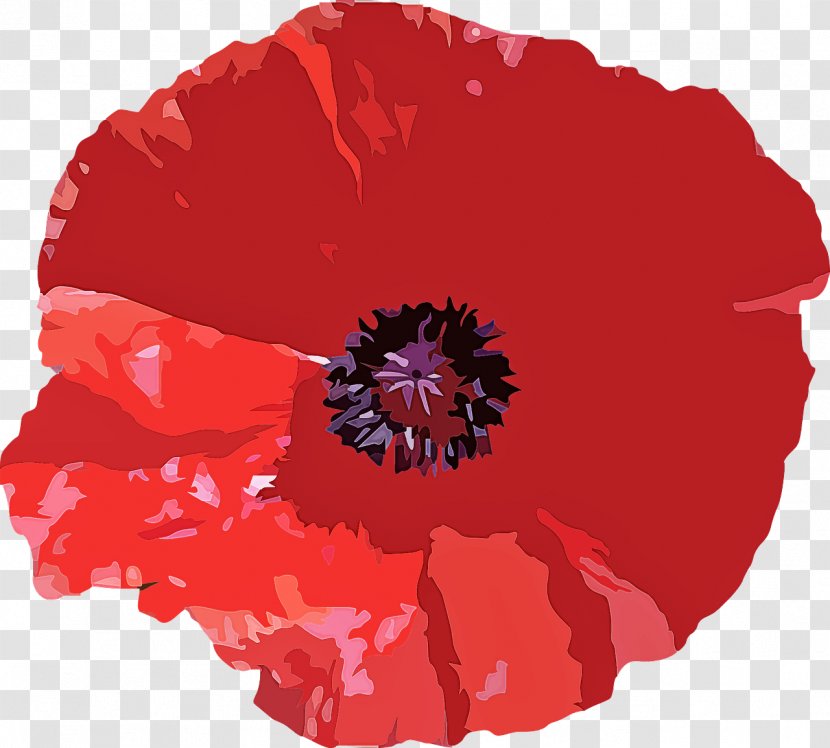 Red Oriental Poppy Flower Plant - Corn Coquelicot Transparent PNG