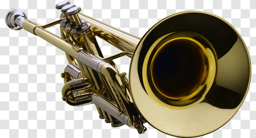 Musical Instruments Wind Instrument Brass - Cartoon - Tuba Transparent PNG