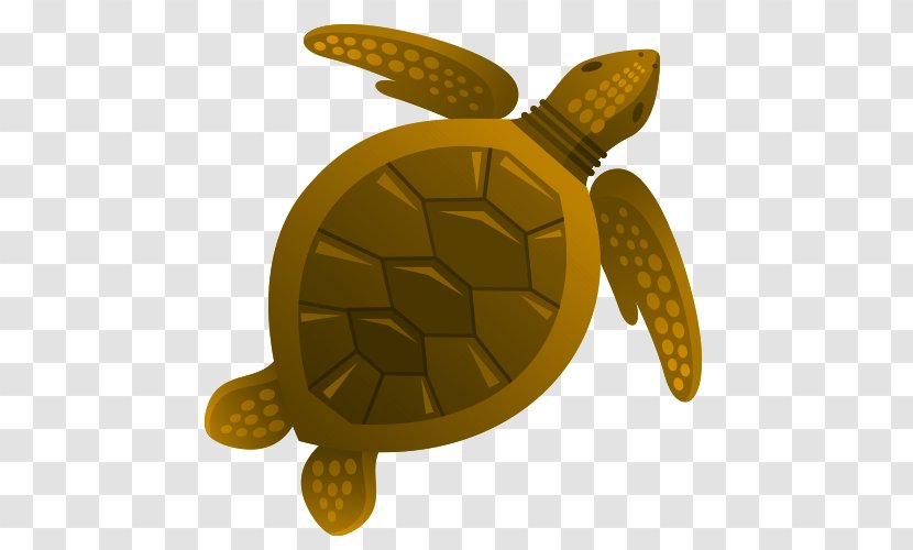 Turtle Aquatic Animal Euclidean Vector Drawing - Cartoon Transparent PNG