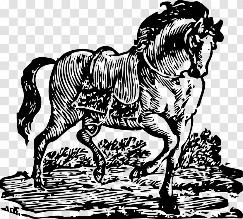 Tennessee Walking Horse Woodcut Clip Art - Line - Horserider Transparent PNG