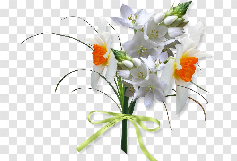 Floral Design Cut Flowers Flower Bouquet - Tulip Transparent PNG