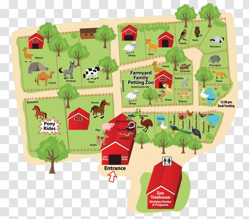 Randall Oaks Zoo Lincoln Park Space Farms And Museum Transparent PNG
