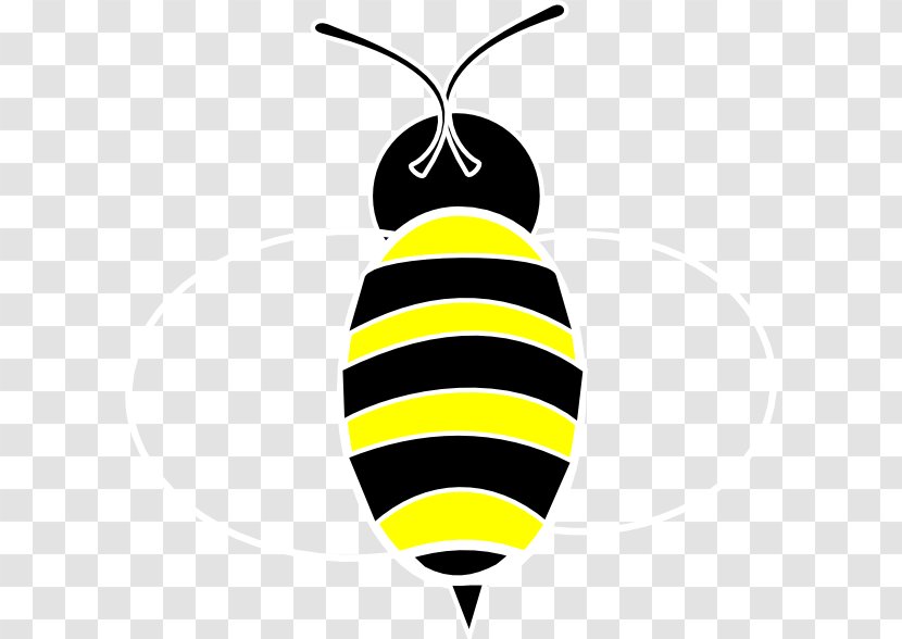 Insect Bee Pollinator Invertebrate Food - Bees Transparent PNG